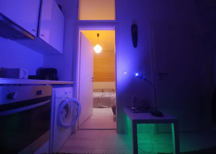 Cozy Downtown Private Apartment