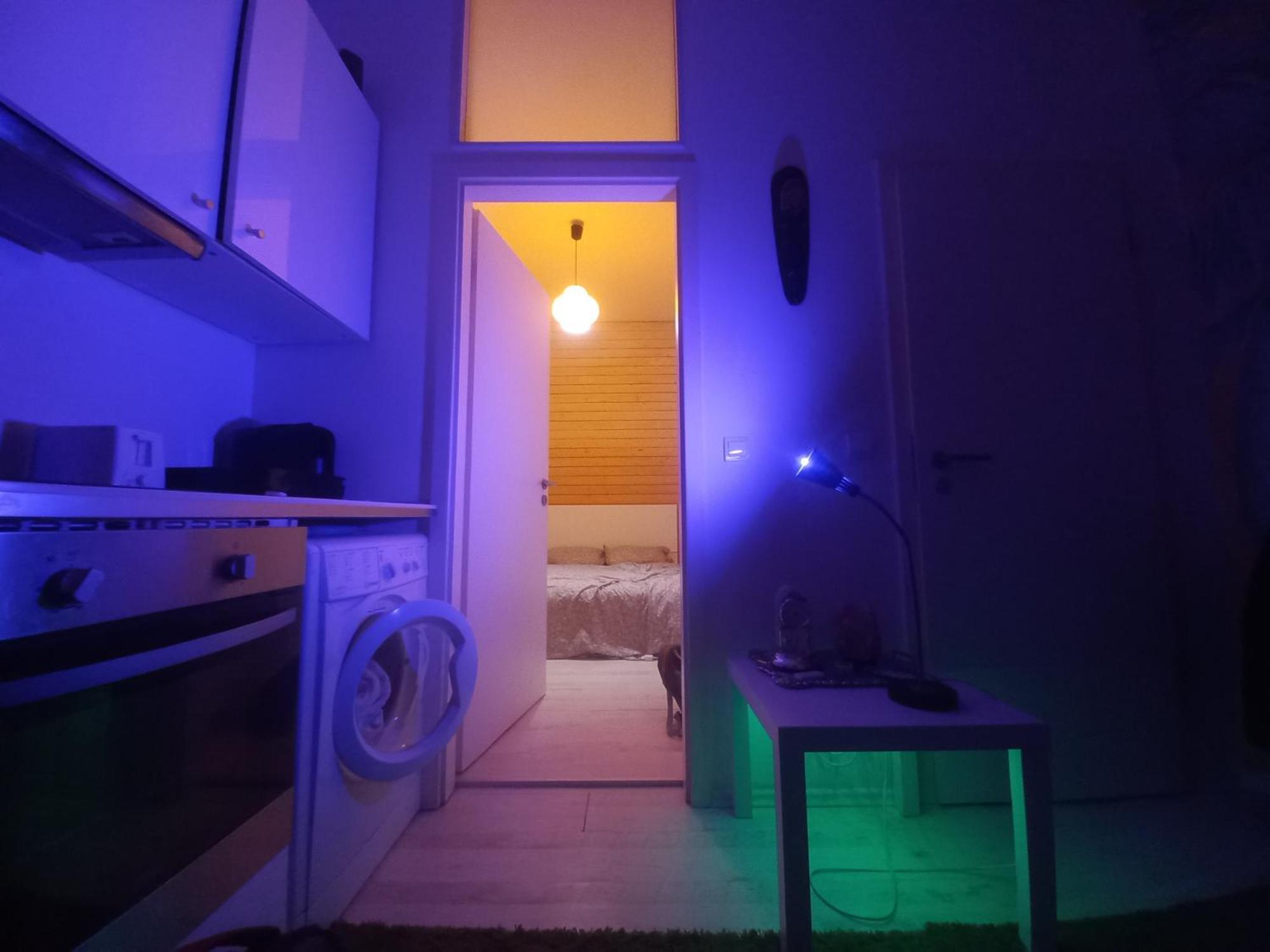 Cozy Downtown Private Apartment